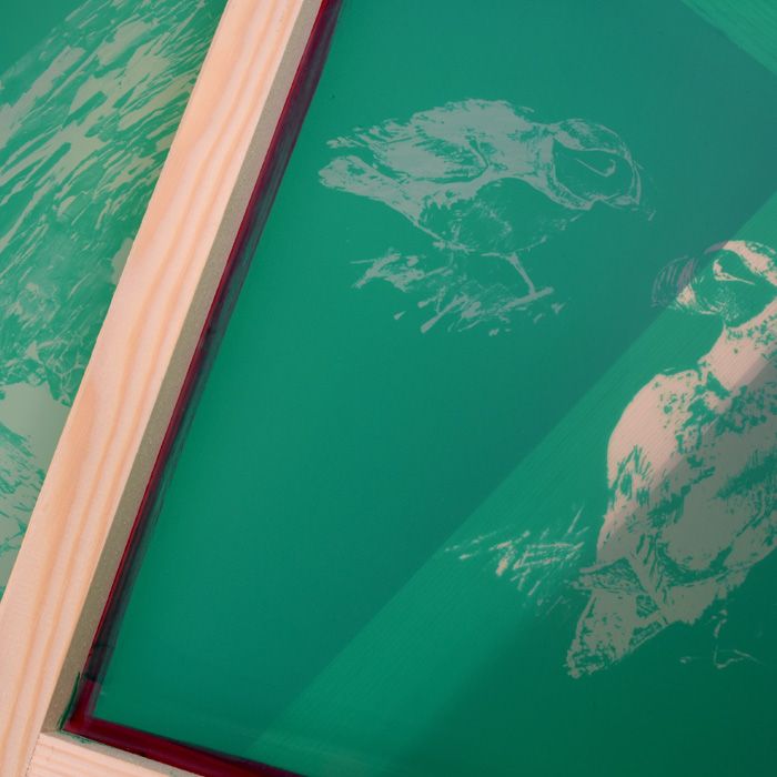 Custom Screenprinting Frame 20x30 cm