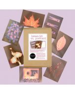 PAR lumen kit for making postcards with sunlight