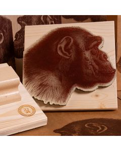 Segell gran d'una il·lustració naturalista